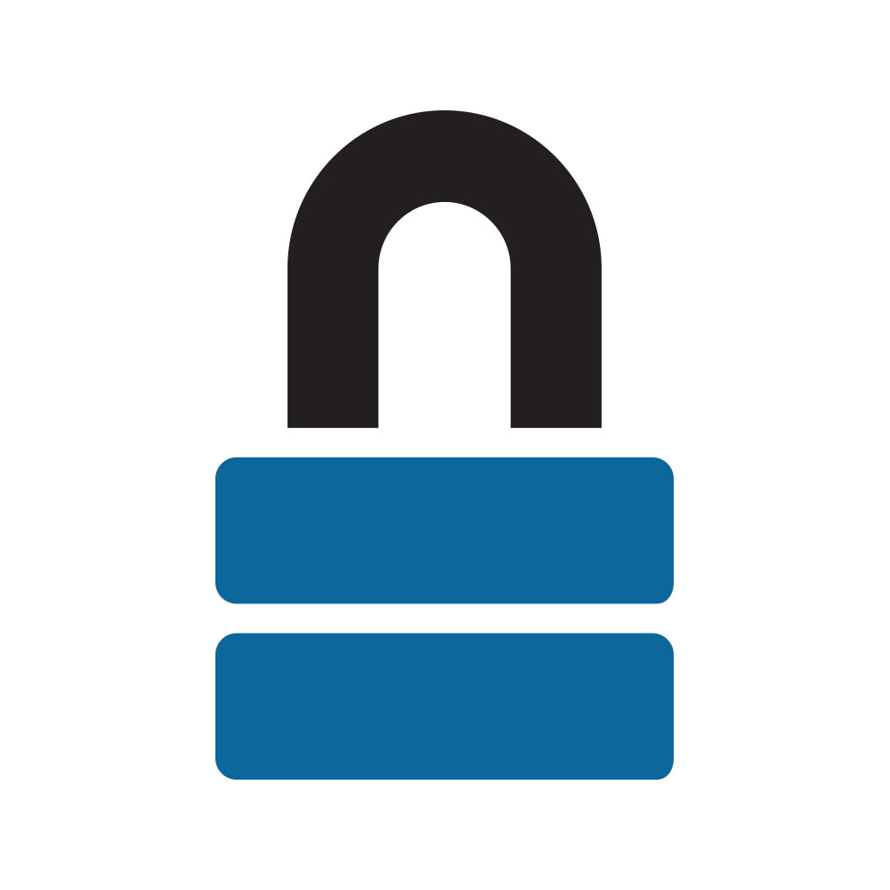 Data & System Security Icon