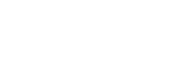 Partering Logo